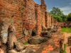 DSC_6015_6_7_8_9