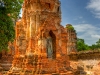 DSC_6141_2_3_4_5