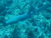 2012-01-04-09-05-24-img_3972