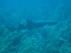 2012-01-04-10-36-04-img_3986