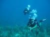 2012-01-04-10-37-30-img_3989